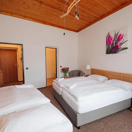 Guest house Mona Harrachov