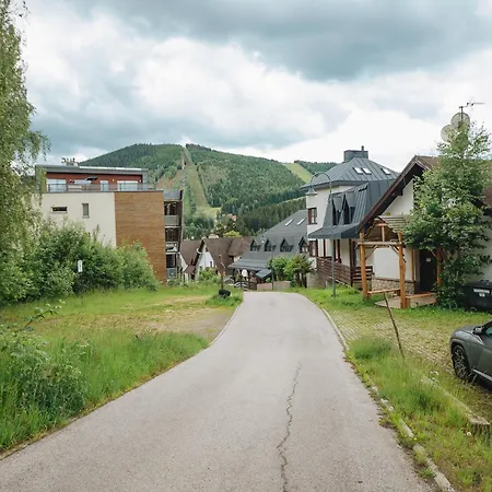 Mona Harrachov
