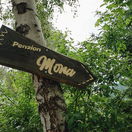 Mona Guest house *