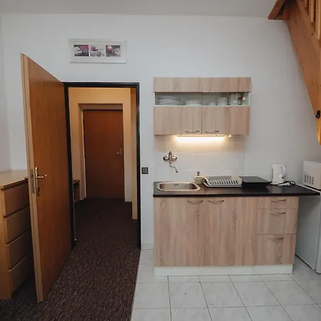 Mona Guest house Harrachov