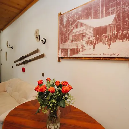 Casa de hóspedes Mona Harrachov