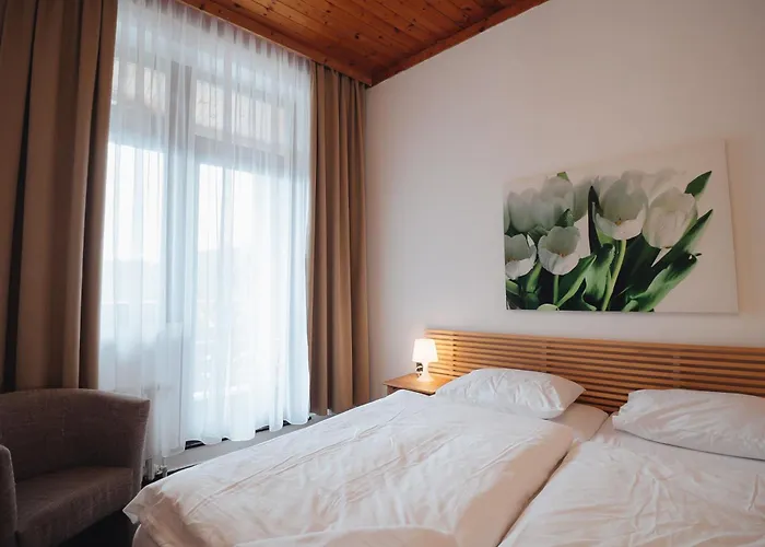 Mona 3* Harrachov